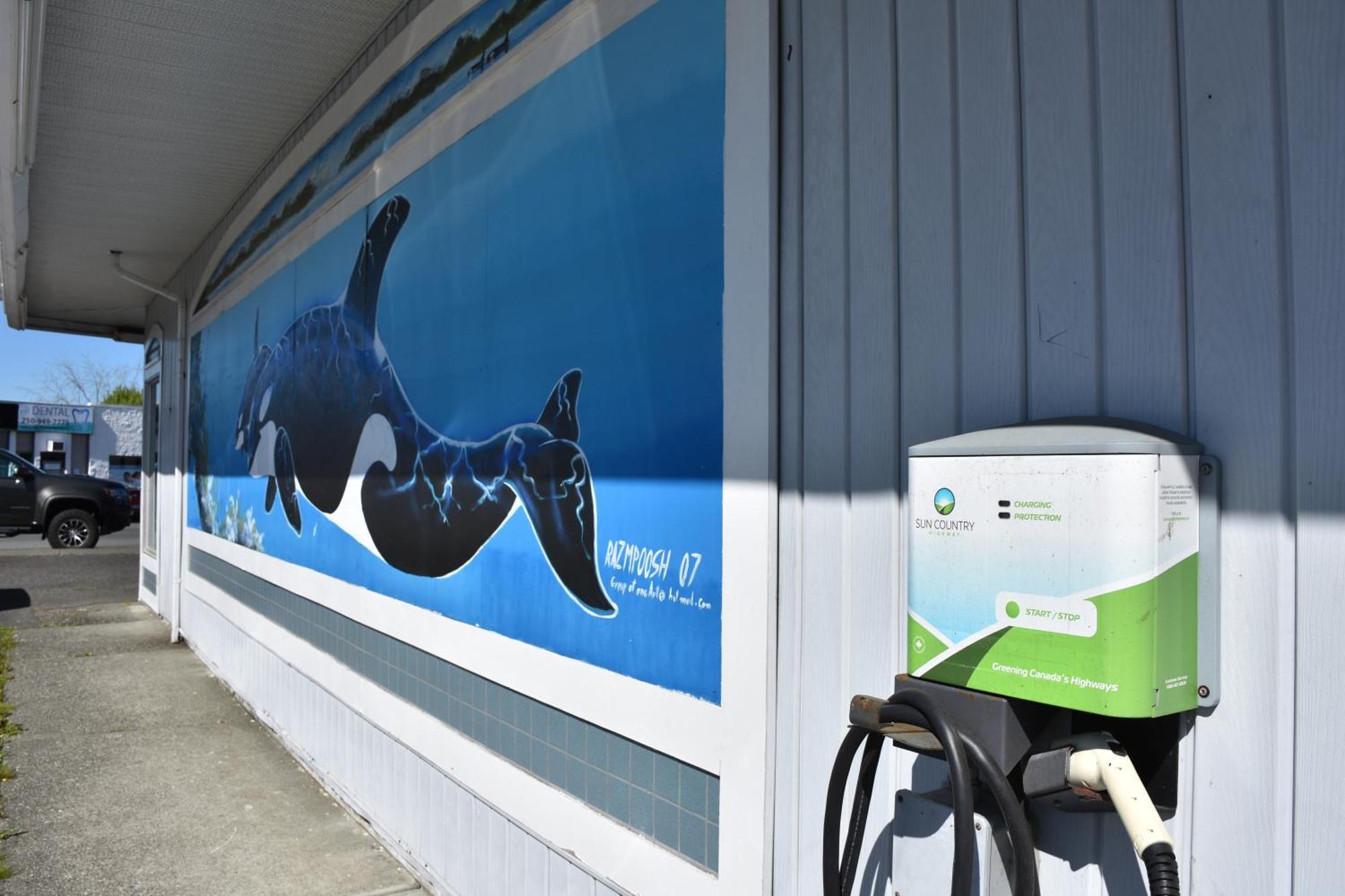 North Coast Trail Backpackers Ltd Hostel พอร์ต ฮาร์ดี ภายนอก รูปภาพ